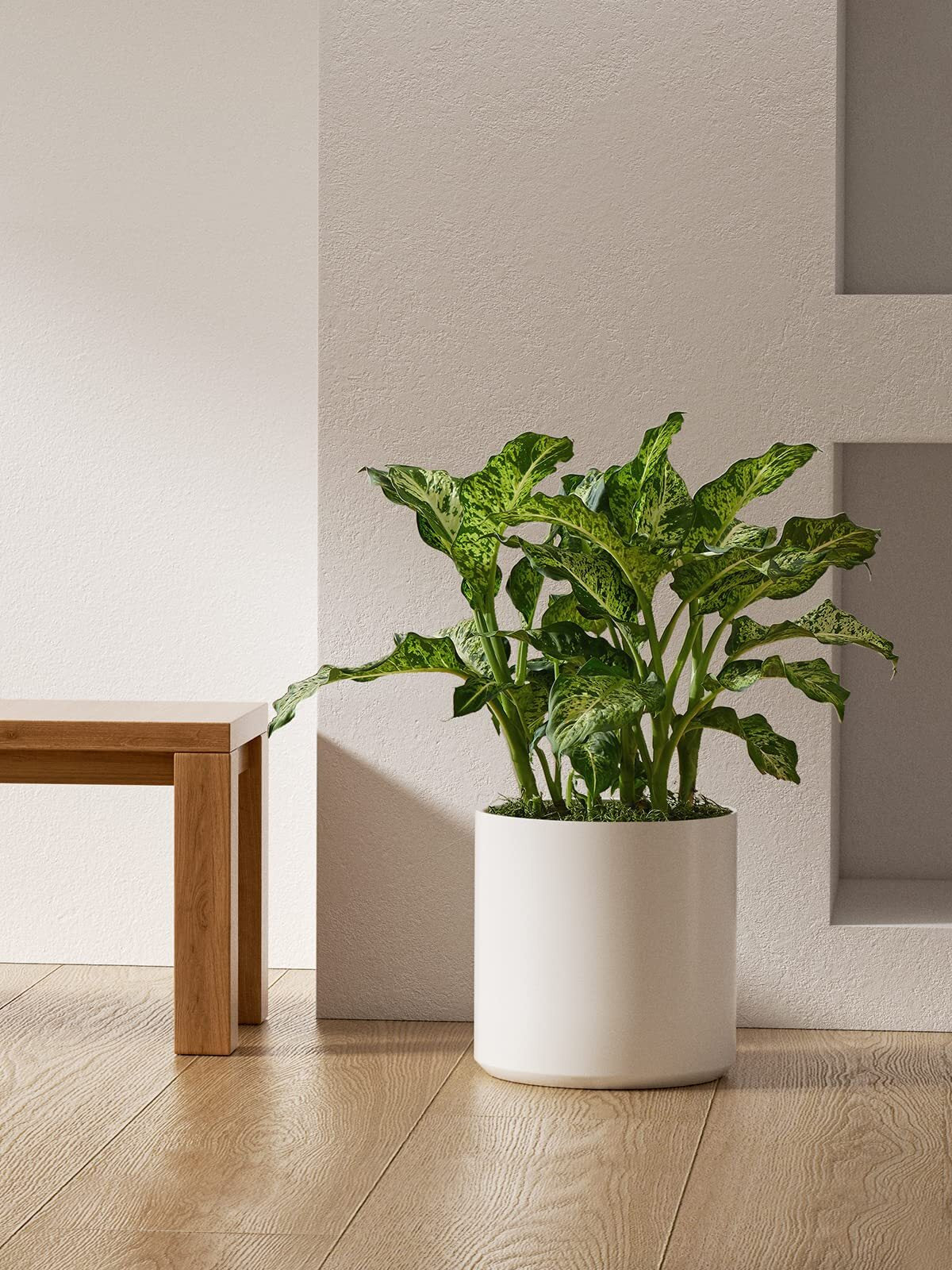 12 Inch Large Plant Pot, Ceramic Pot for Plants,Planter for Indoor Plants, Mid-Century Modern Flower Pots with Drainage Hole and Plug, White