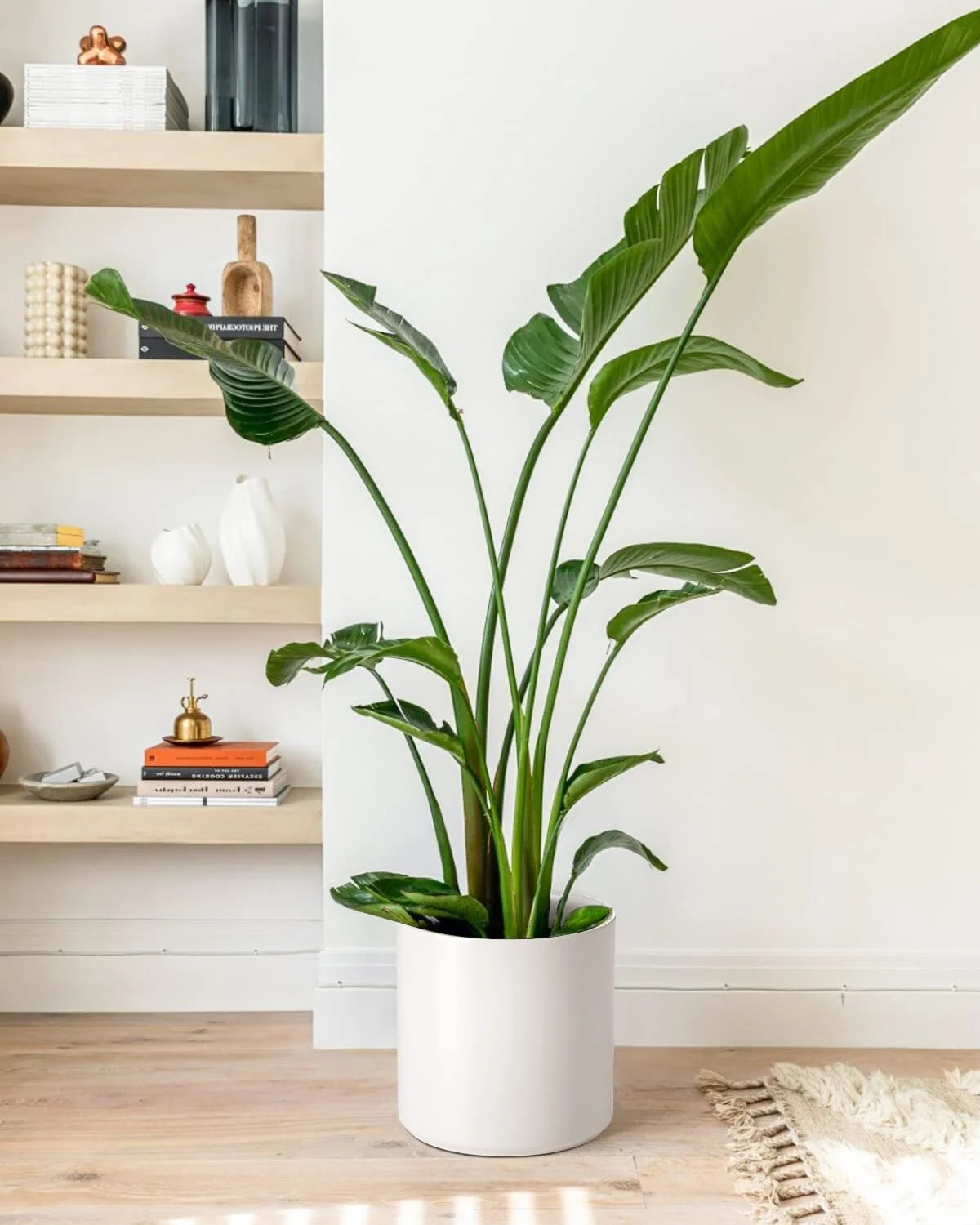 12 Inch Large Plant Pot, Ceramic Pot for Plants,Planter for Indoor Plants, Mid-Century Modern Flower Pots with Drainage Hole and Plug, White