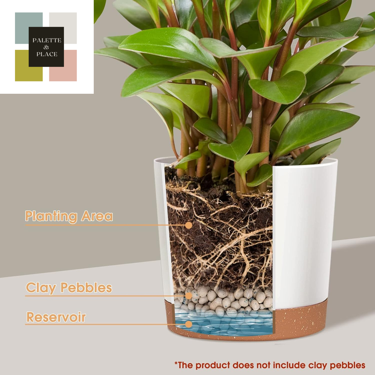 Kubvici Plant Pots for Indoor Plants, 2 Pack 10 Inch Plant Pot Plastic Flower Pots Planters with Drainage Saucer for Indoor Outdoor Garden Home (10" White)
